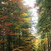 Sport – Marcia sociale di Regolarità in montegna 14 ottobre 2007